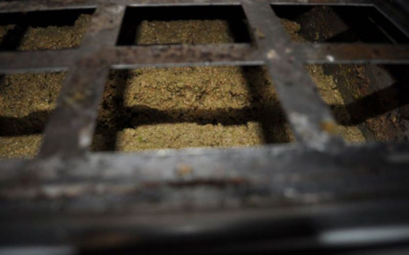 Pasta de acituna no filtrada