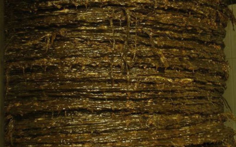 Restos de la piel de la aceituna