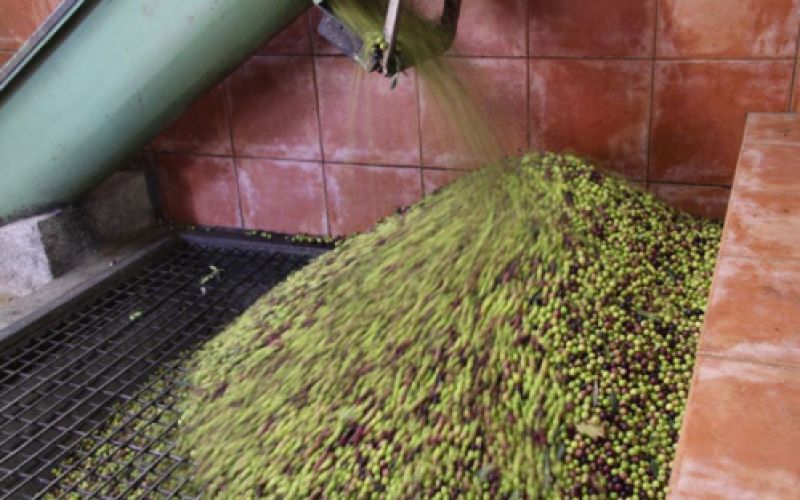 Decantador horizontal para separar piel de hueso