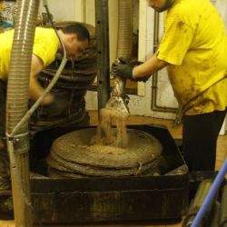 Trabajadores limpiando la pasta de prensado en molino