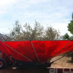 Tractor con lona recogiendo la aceituna extraída del árbol