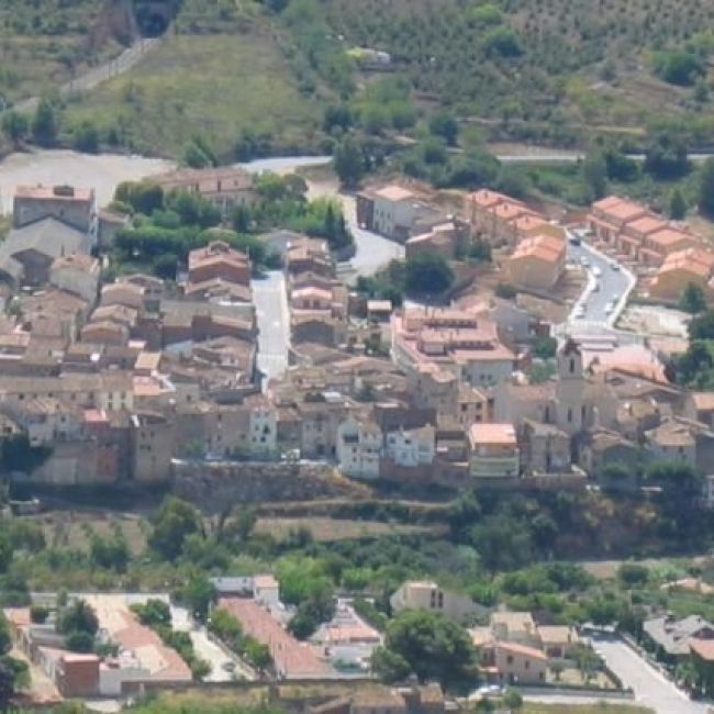 Aceite de oliva en Barcelona