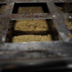 Pasta de acituna no filtrada