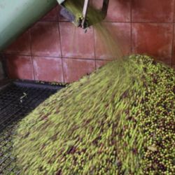 Decantador horizontal para separar piel de hueso